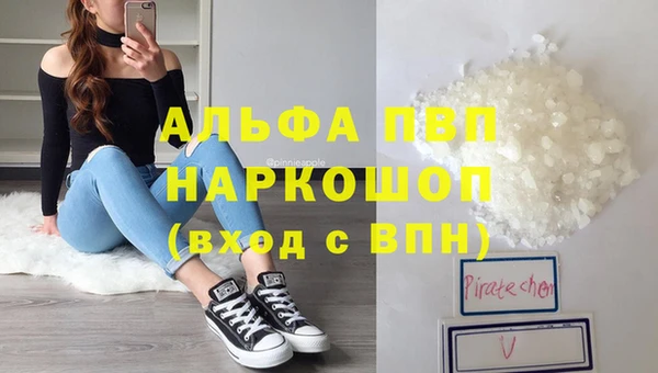 стаф Аркадак