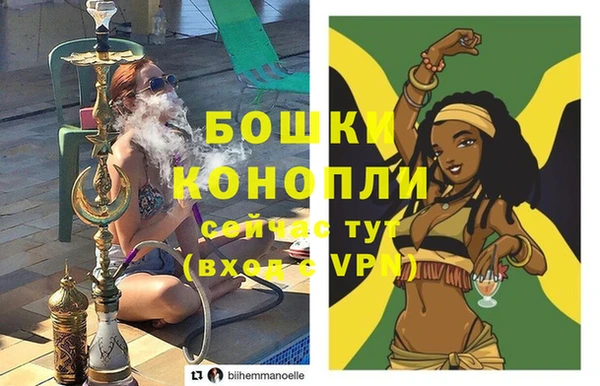стаф Аркадак
