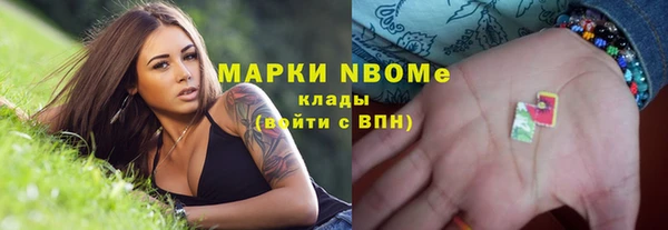 индика Армянск