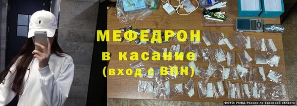 стаф Аркадак