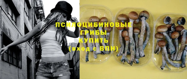 стаф Аркадак