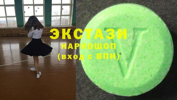 стаф Аркадак