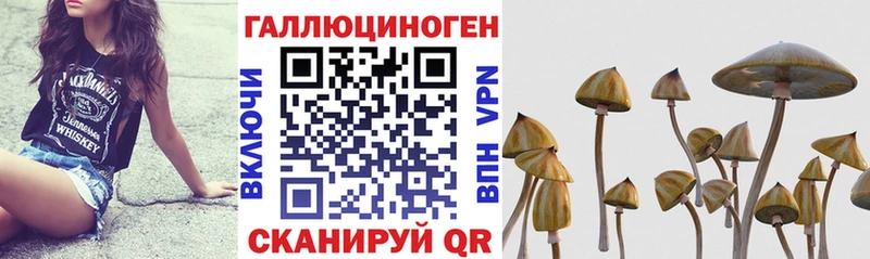 хочу наркоту  Спасск-Рязанский  Галлюциногенные грибы ЛСД 